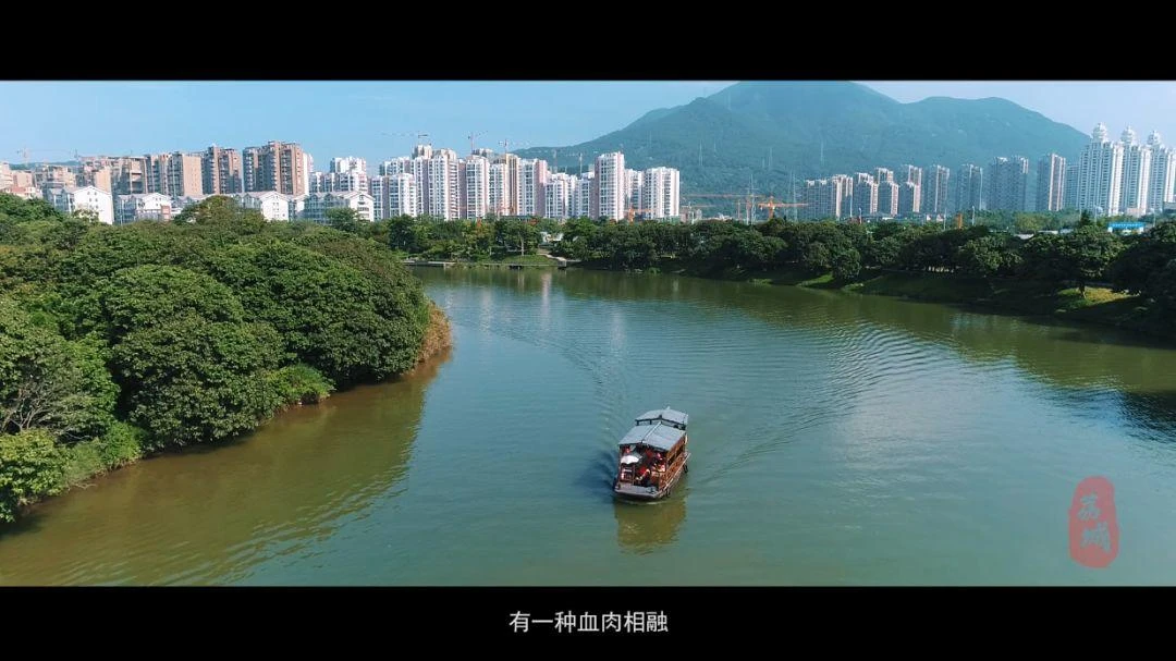 微视频丨荔城区形象宣传片《美荔之约》