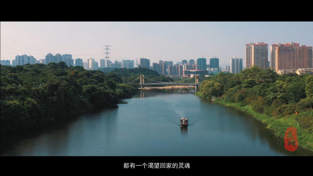 微视频丨荔城区形象宣传片《美荔之约》