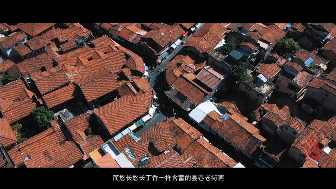 微视频丨荔城区形象宣传片《美荔之约》
