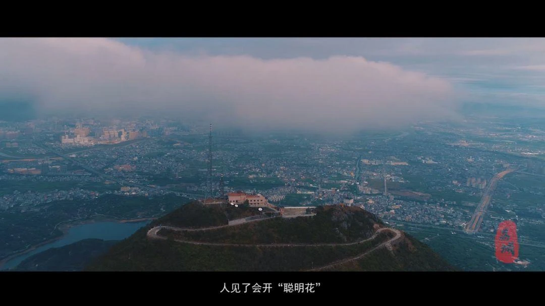 微视频丨荔城区形象宣传片《美荔之约》